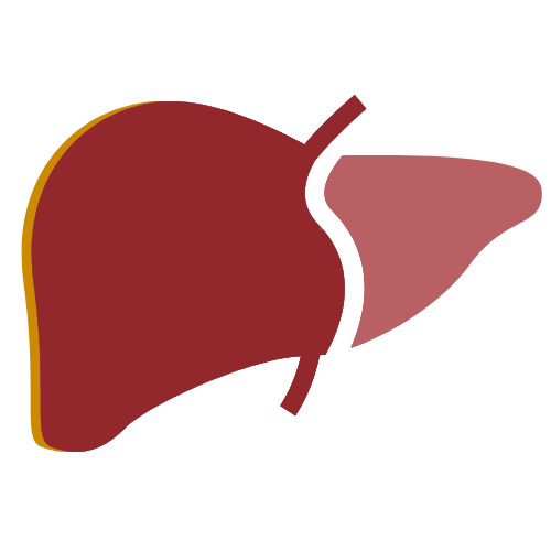 medical cross and germ icon