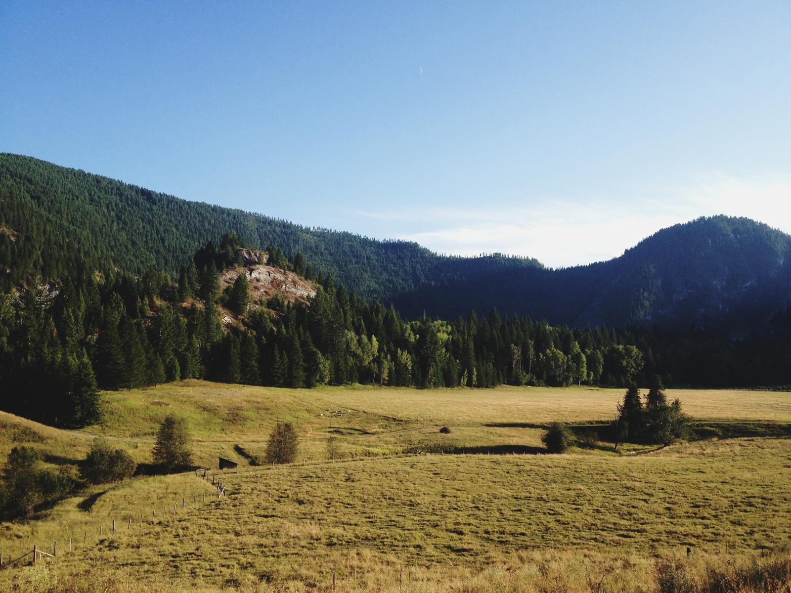 rolling hills of Colville forest