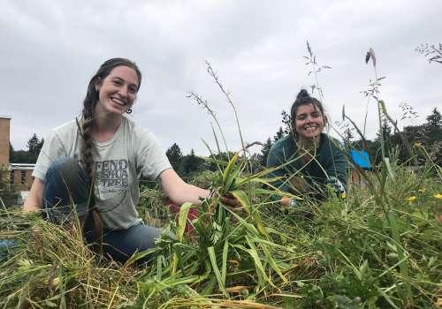 sacred seeds trail, ethnobotanical garden trail